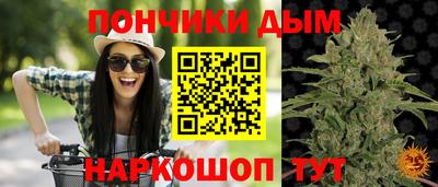 кокс Кандалакша
